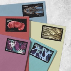 Life Magnified Stamps, Sheet of 20