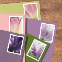 Tulip Blossoms Stamps, Coil of 3,000