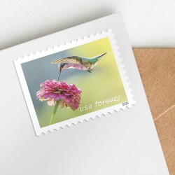 Garden Delights Stamps