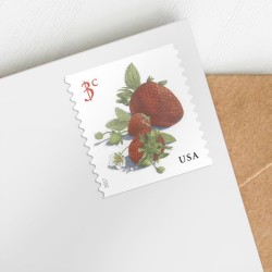 Strawberries Stamps, Coil of 3,000