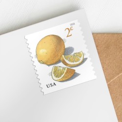 Meyer Lemons Stamps, Coil of 3,000